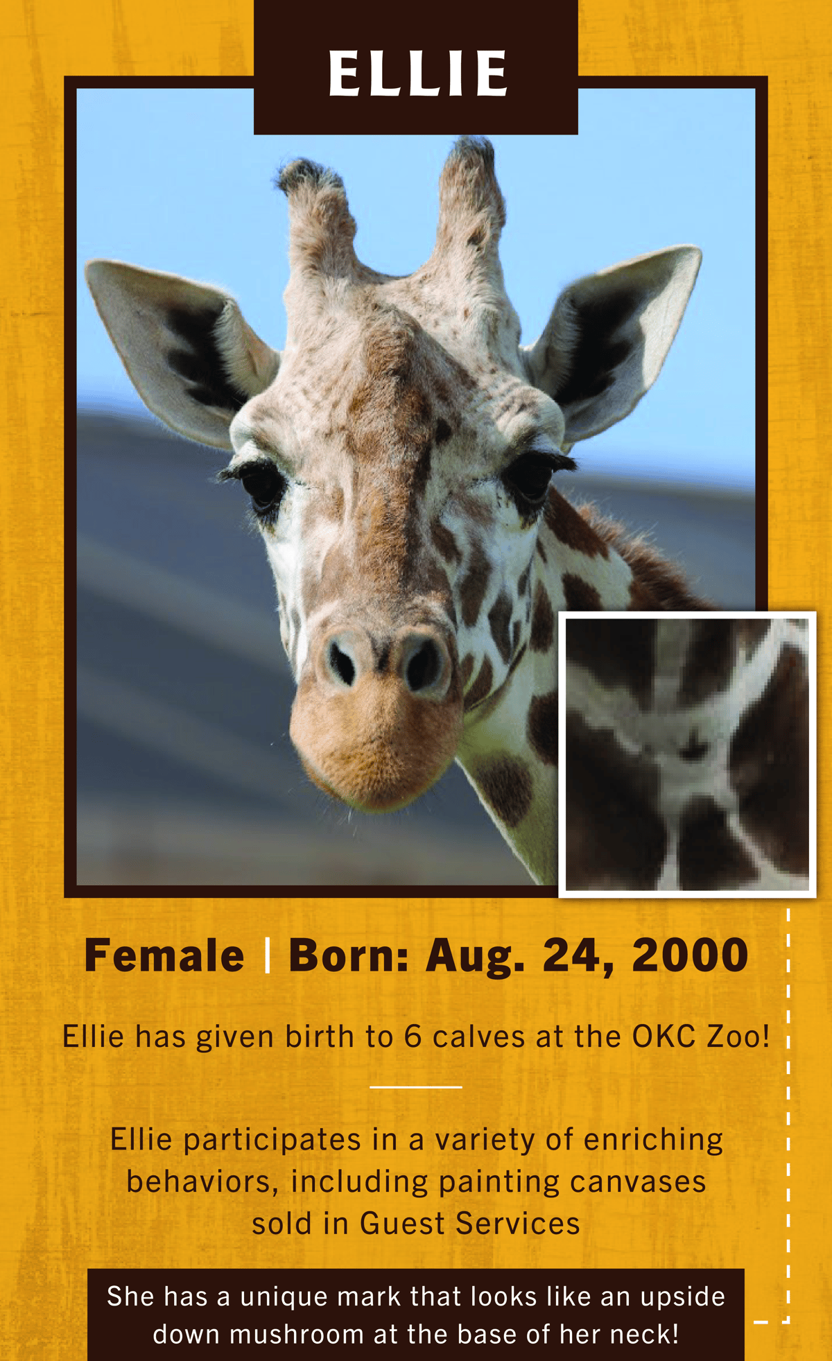 Jirafa Ellie