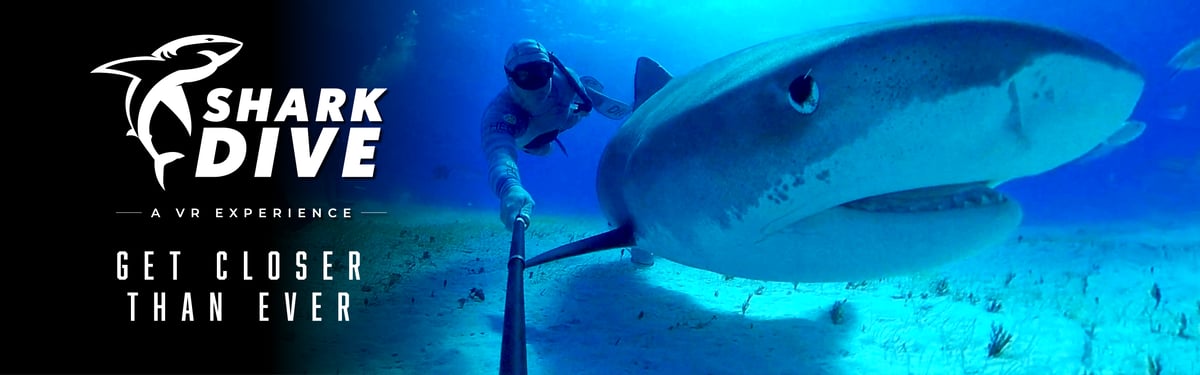 VR Shark
