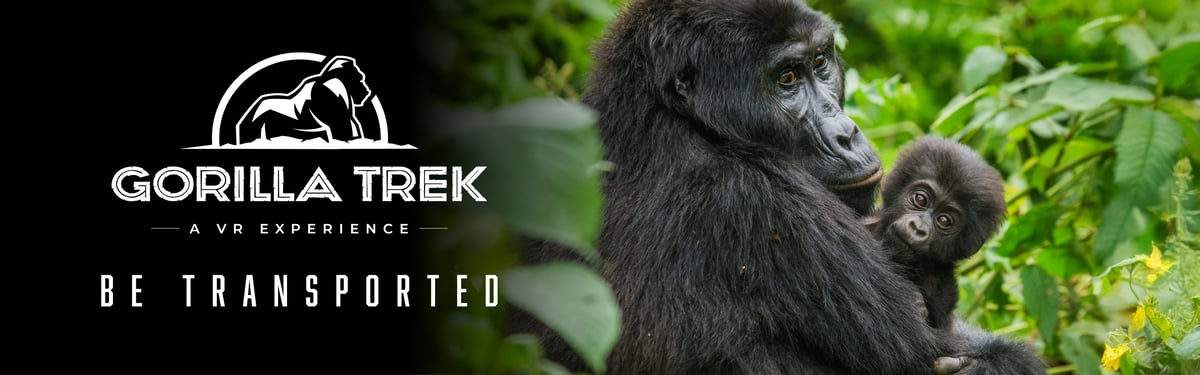 VR Gorilla Trek