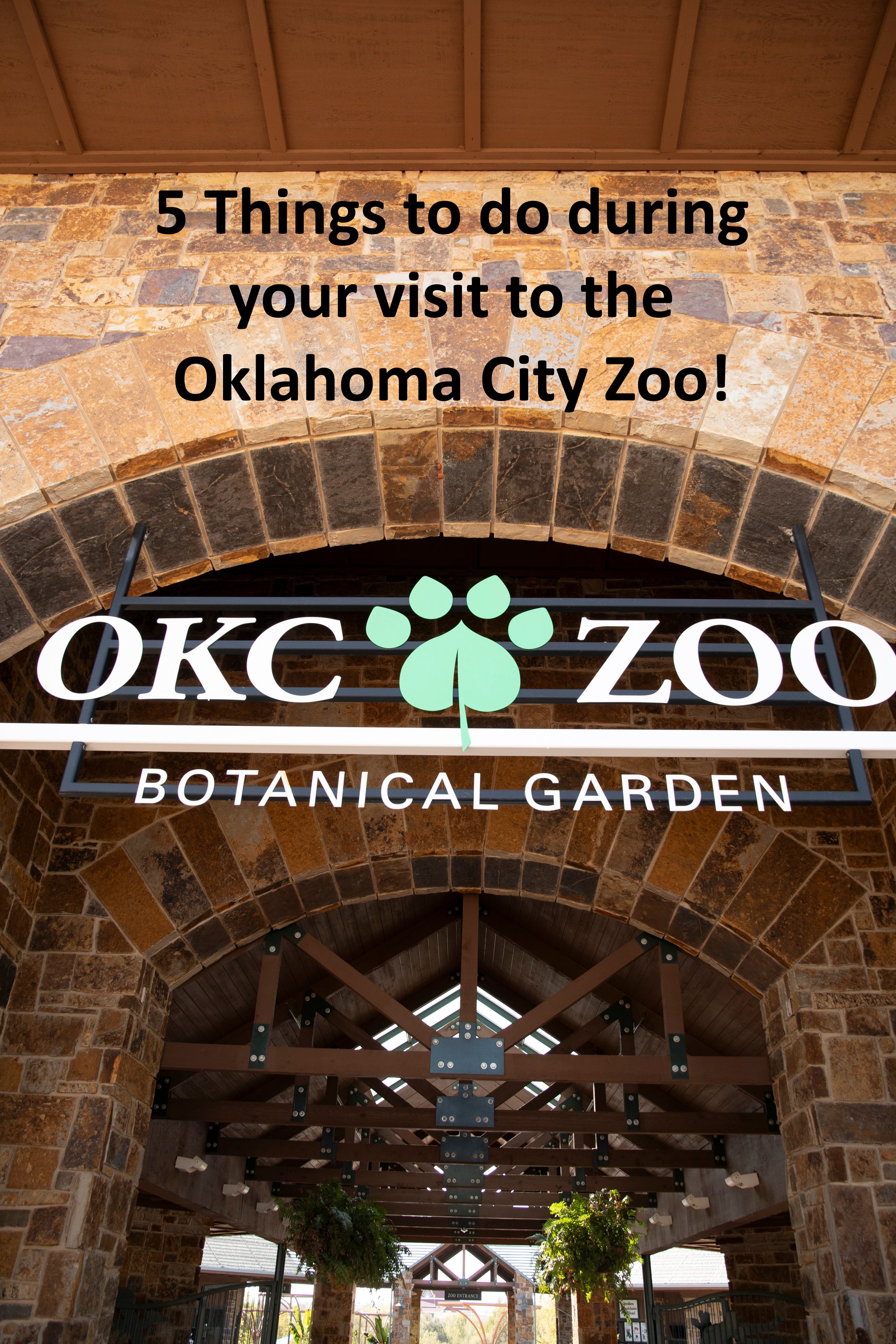 5 things to do during your OKC Zoo visit!