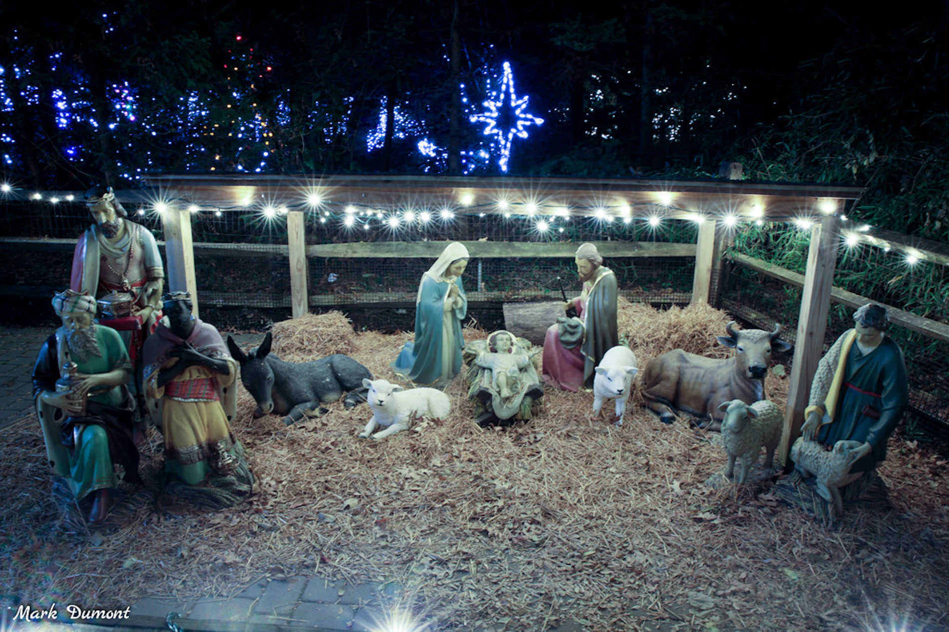 Nativity