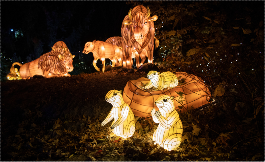 Holiday Lights Guide lanterns