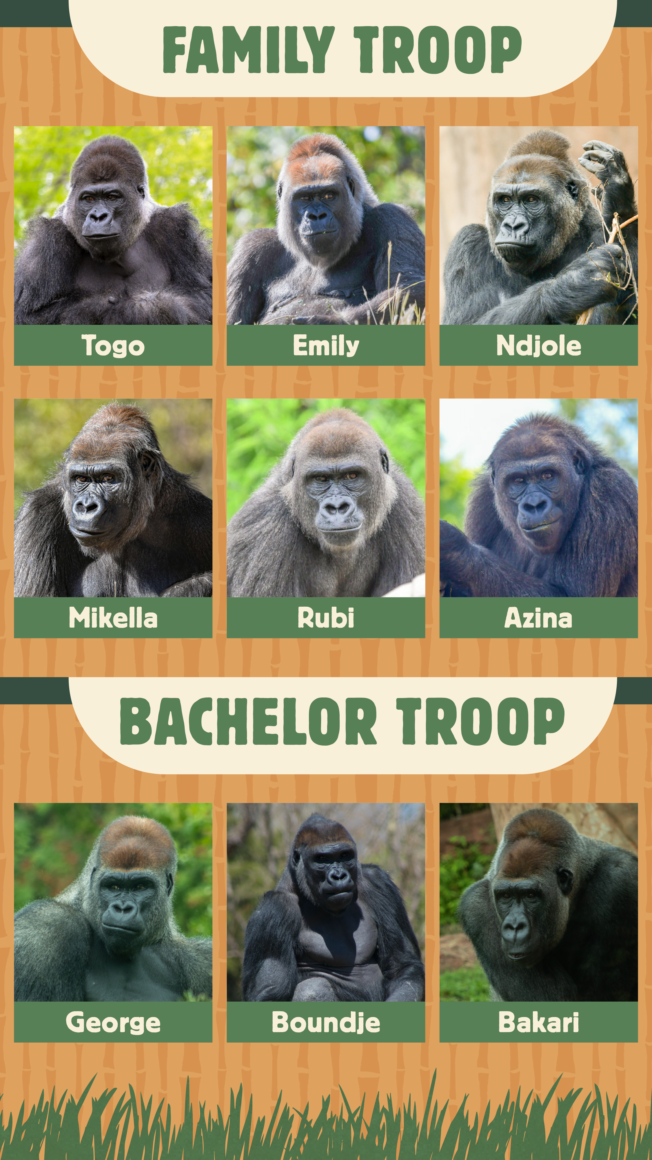 Gorilla Troop