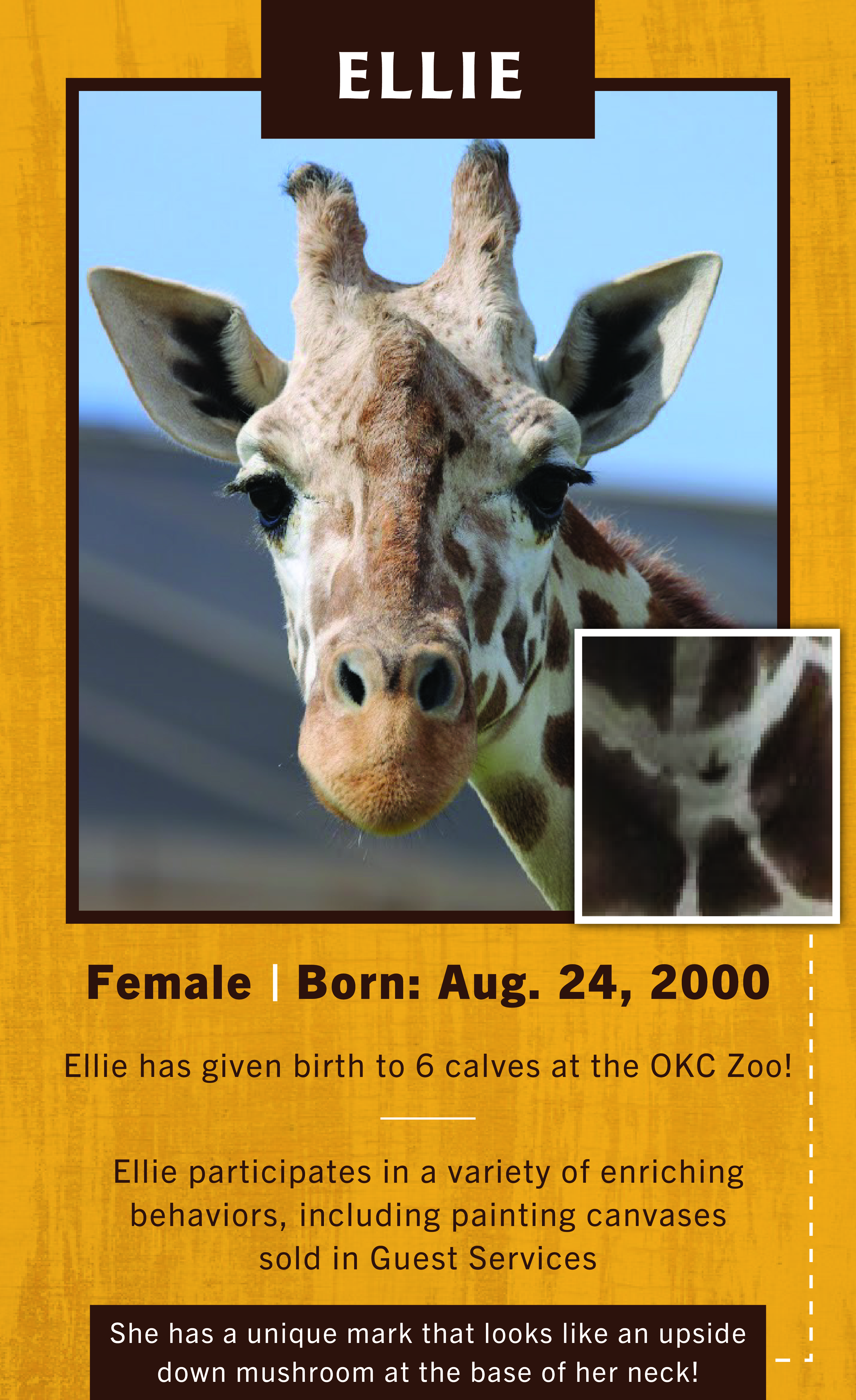 Giraffe Ellie