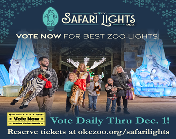 Safari Lights Voting