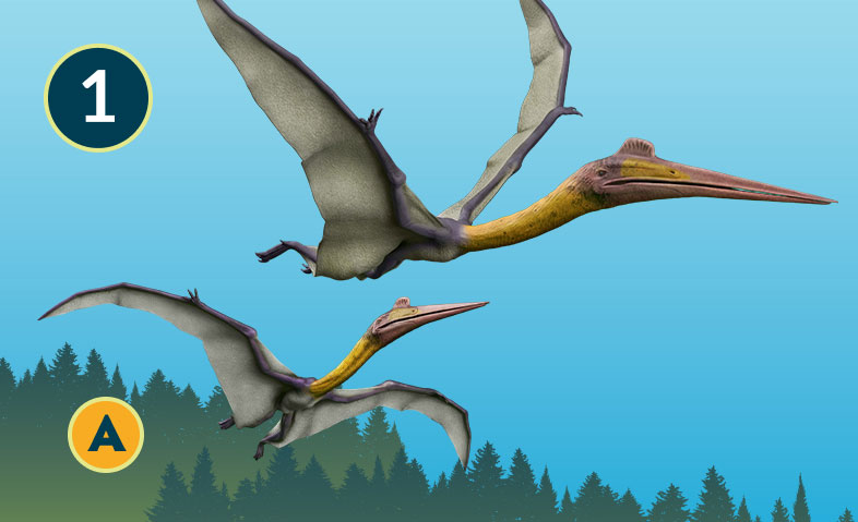 Quetzalcoatlus