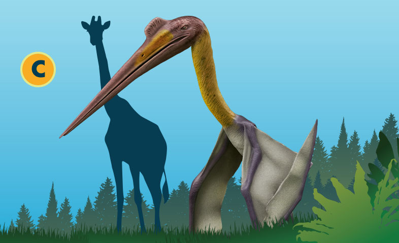 Quetzalcoatlus
