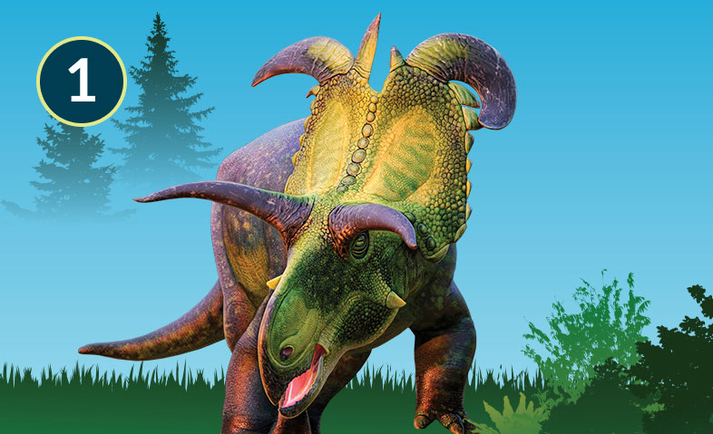 Lokiceratops