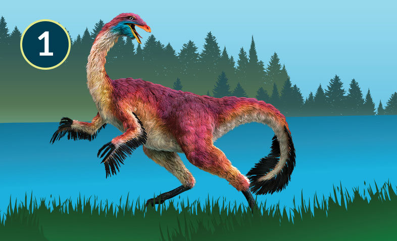 Gallimimus