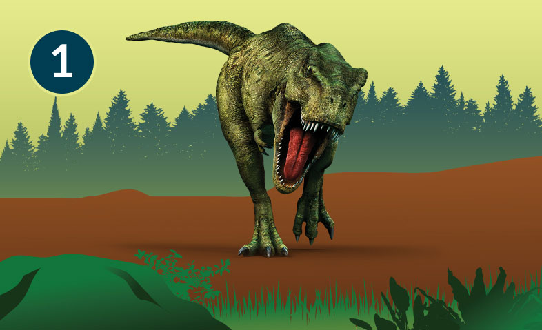 Tyrannosaurus rex