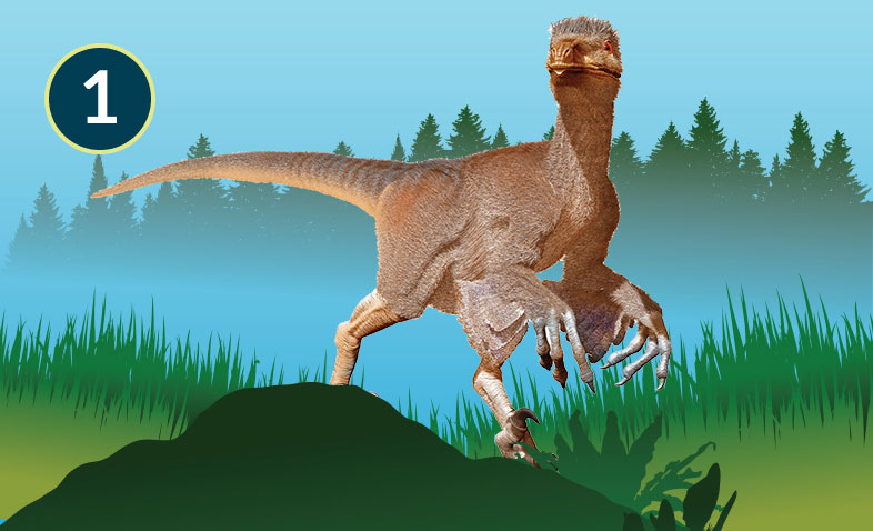 Troodon