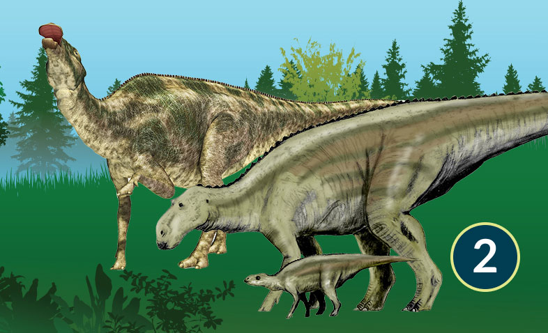Maiasaura