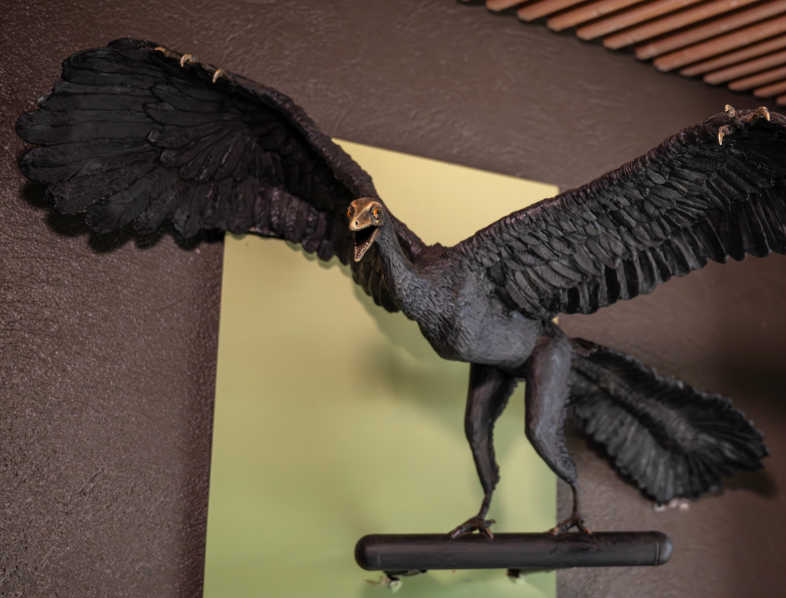 Archaeopteryx