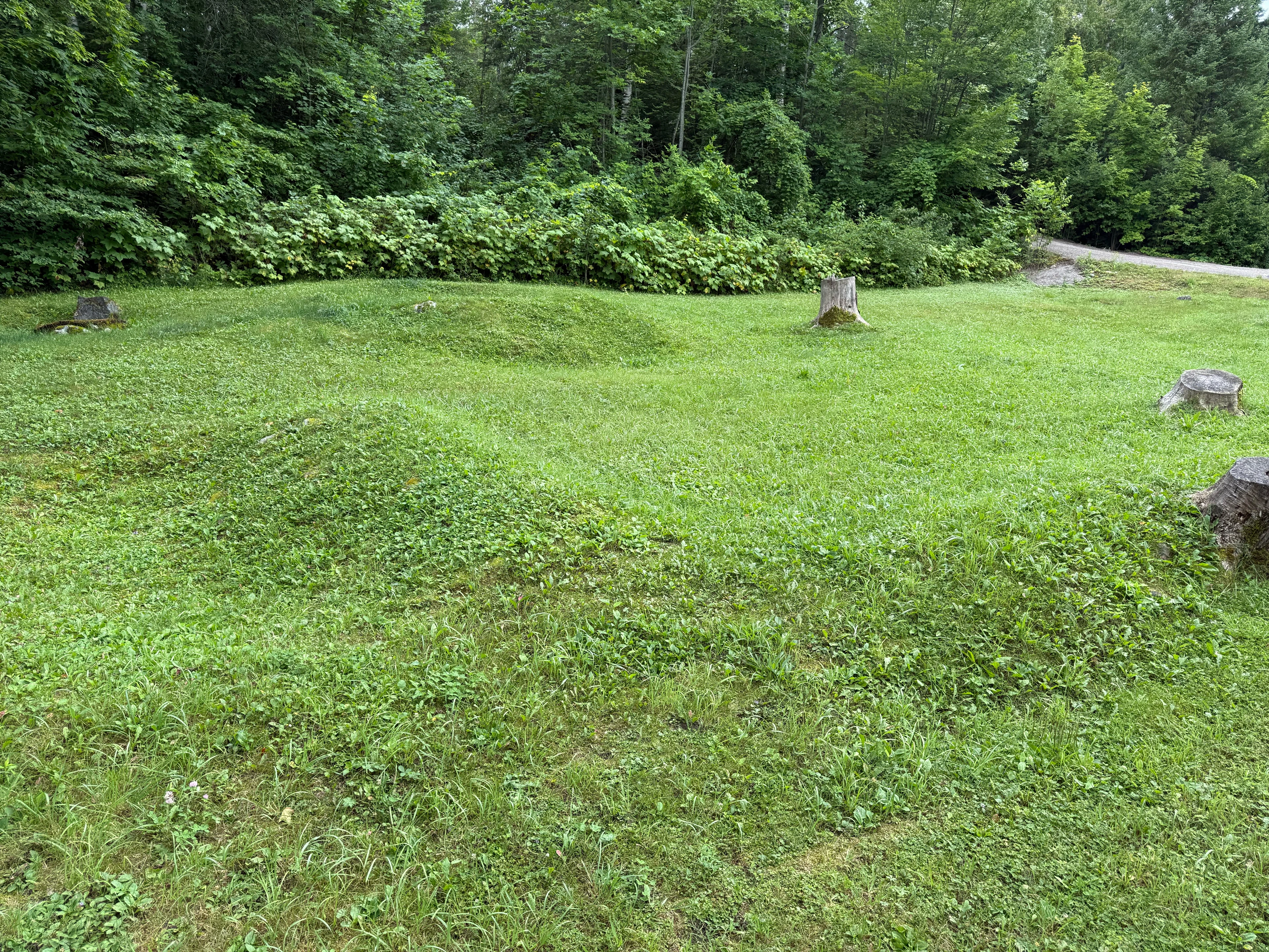 Unexcavated Site 2