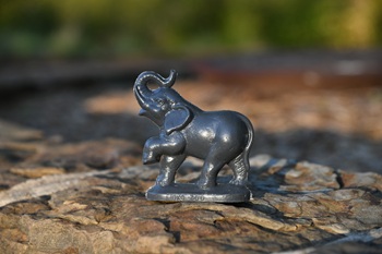 Elephant Mold-a-matic