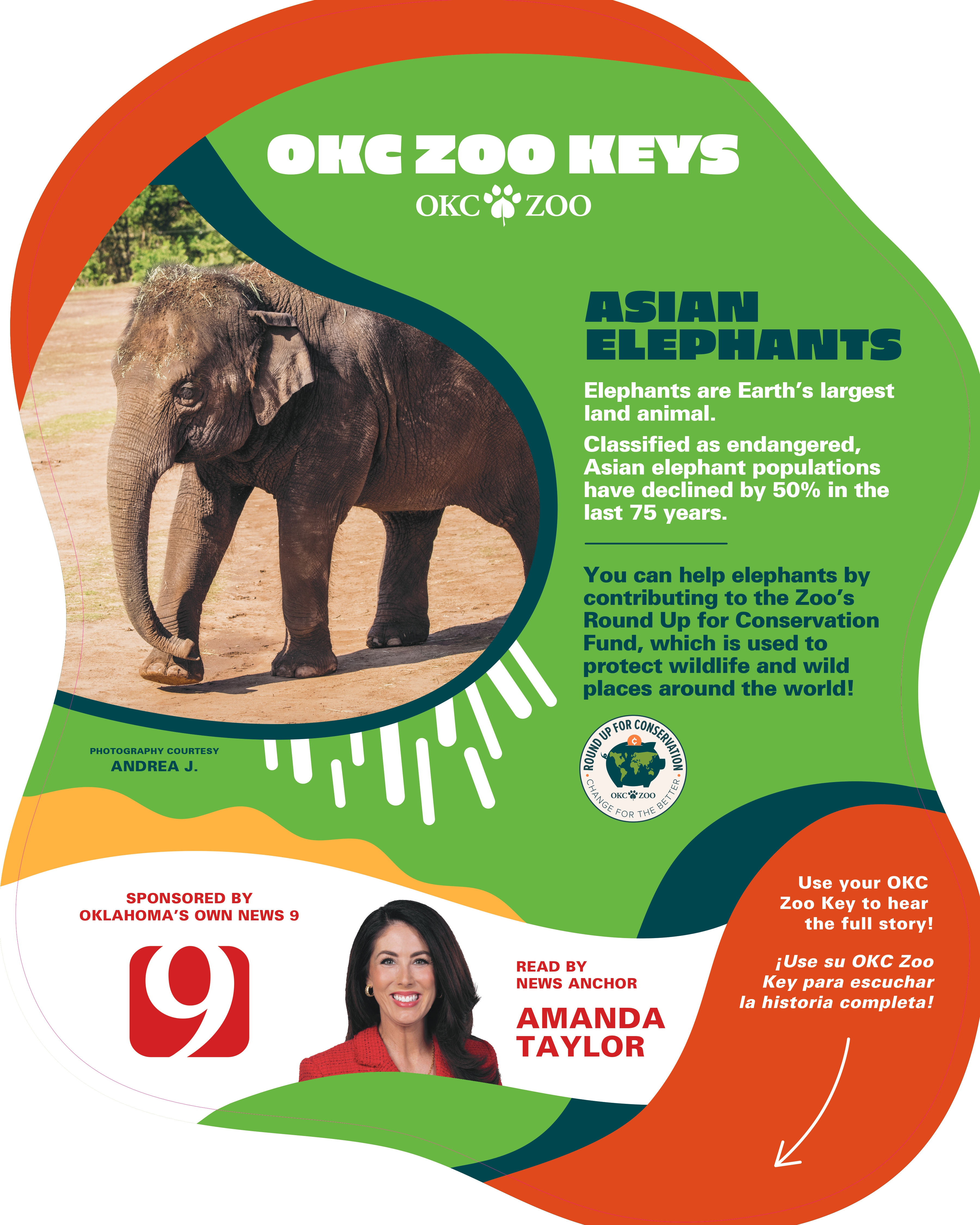 Zoo Key Elephant