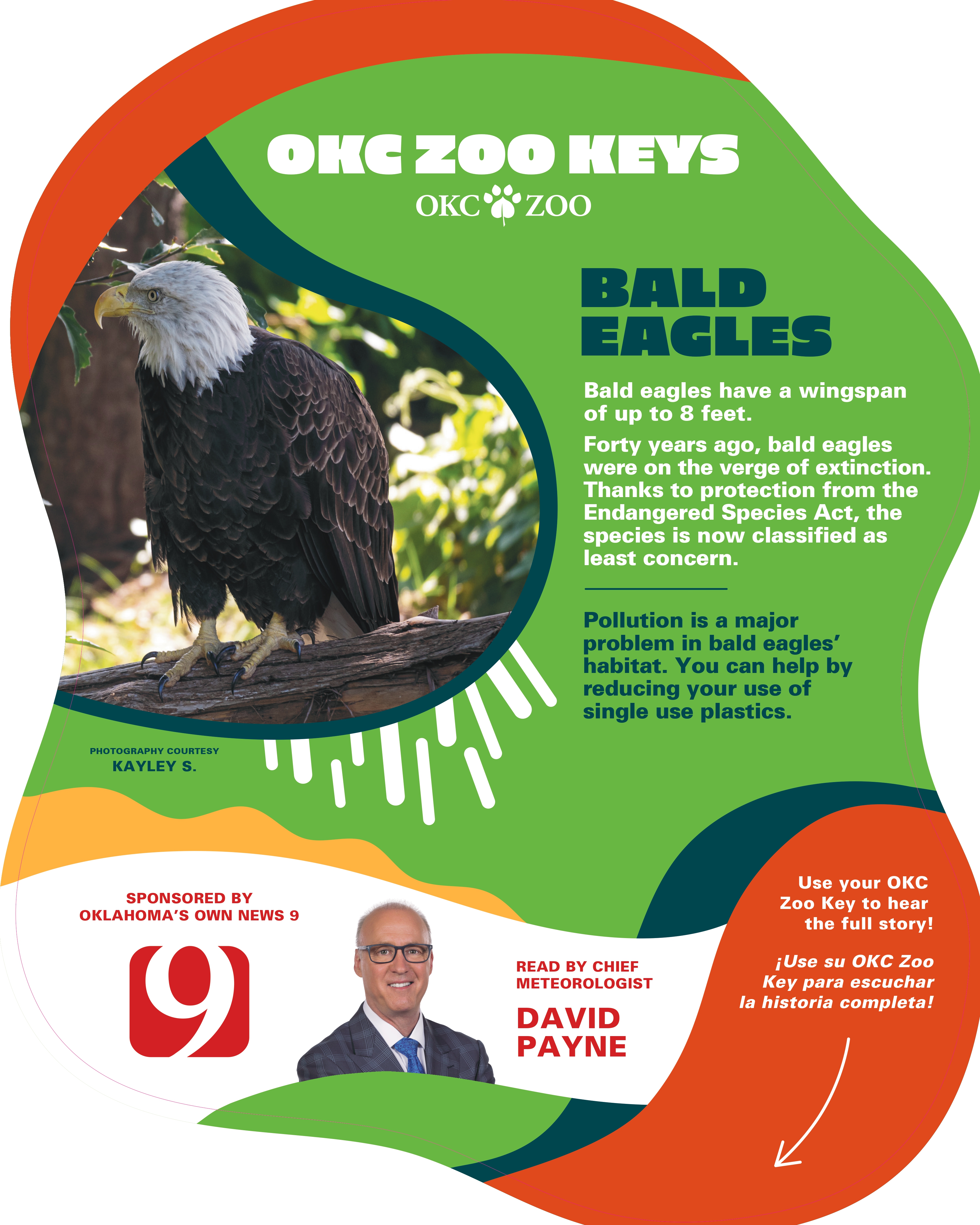 Zoo Key Eagle