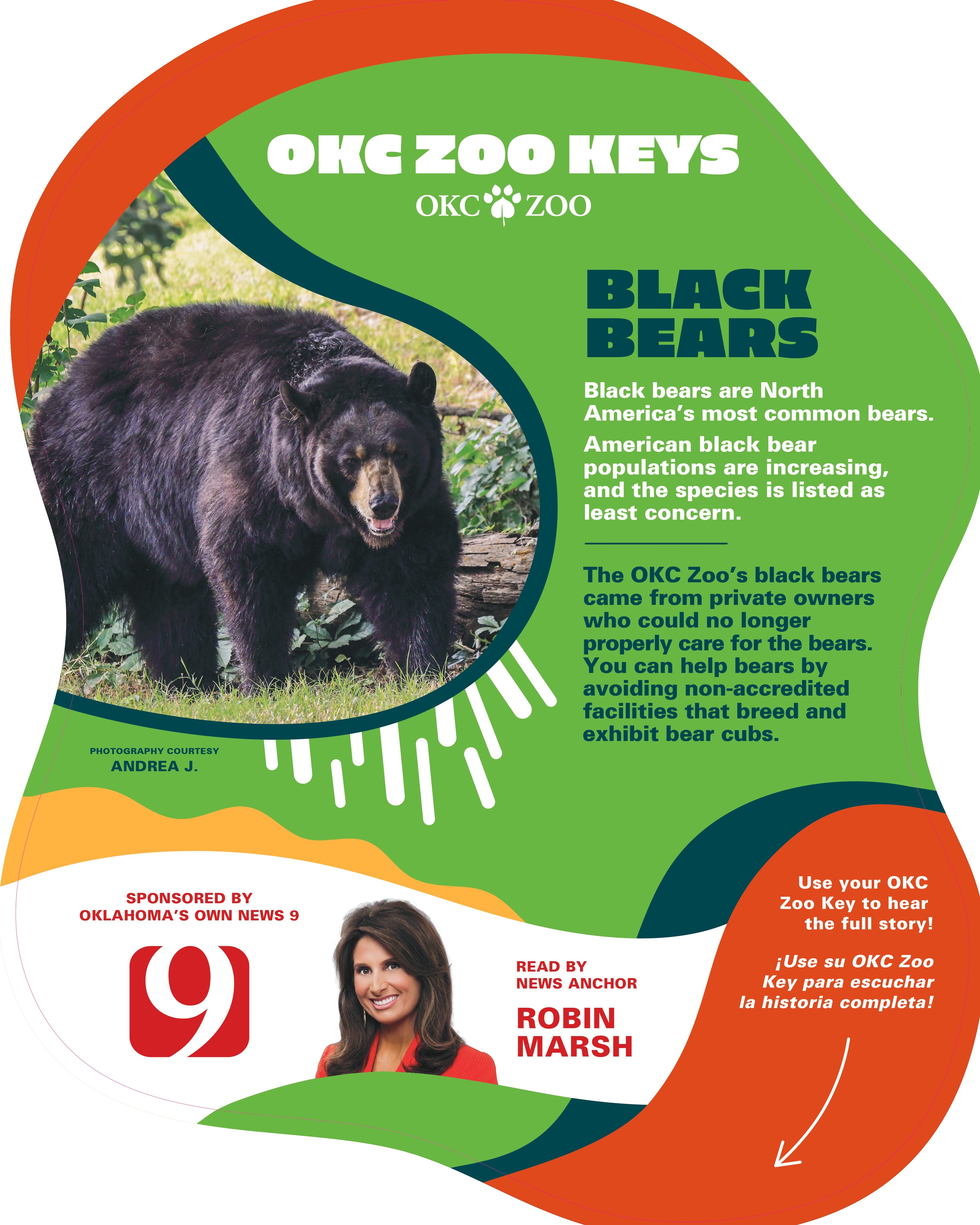 Zoo Key Black Bear