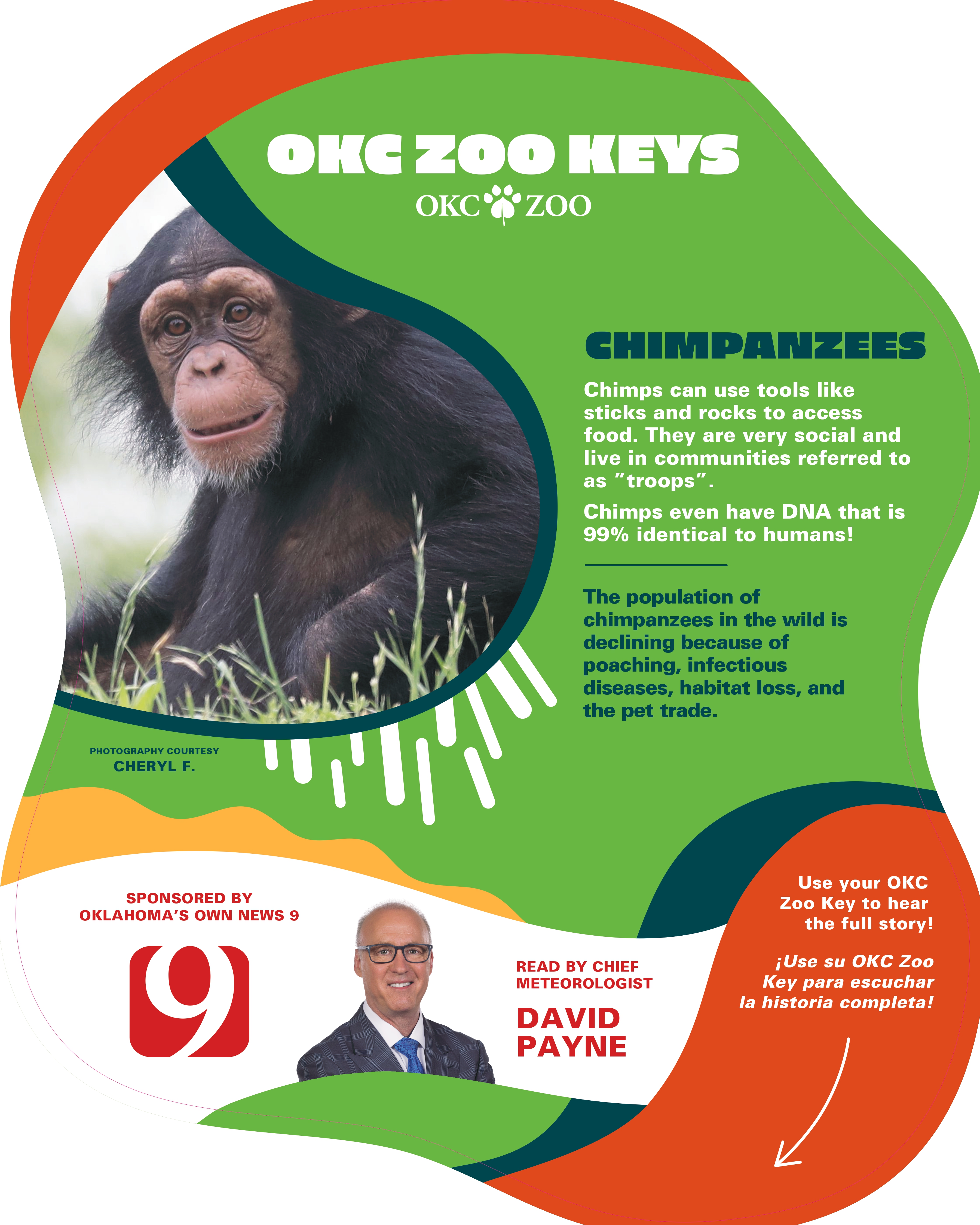 Zoo Key Chimpanzee