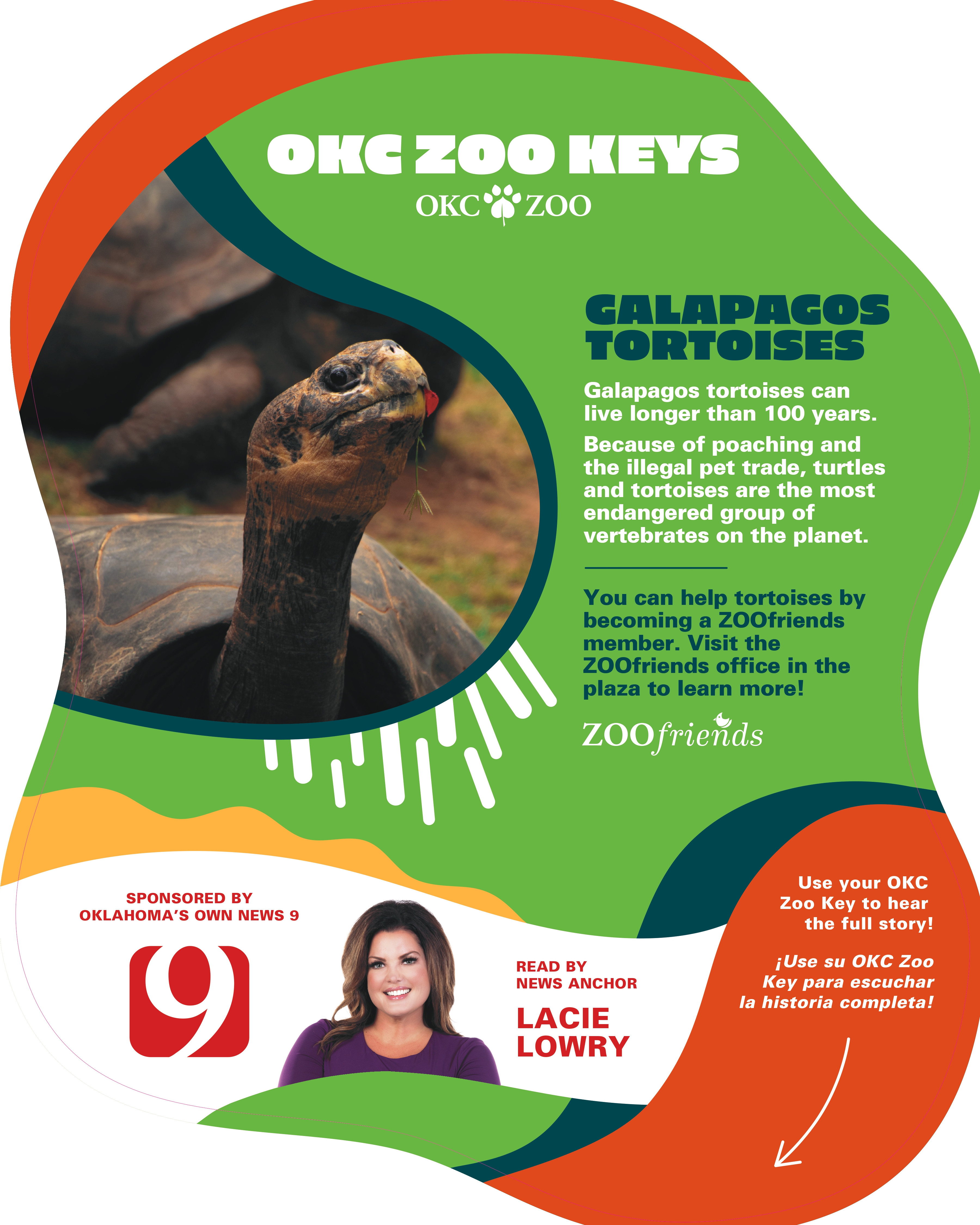 Zoo Key Galapagos Tortoise