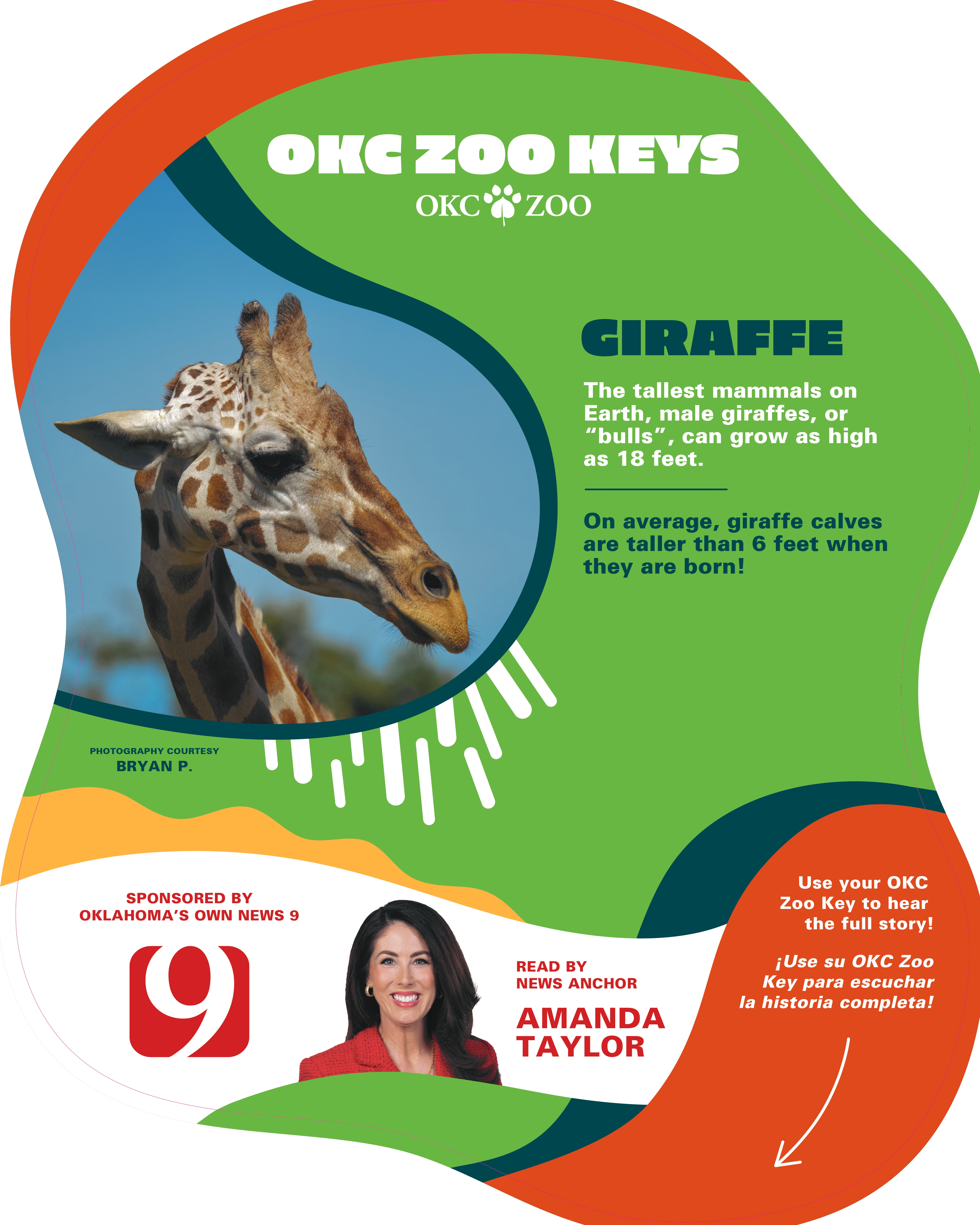 Zoo Key Giraffe