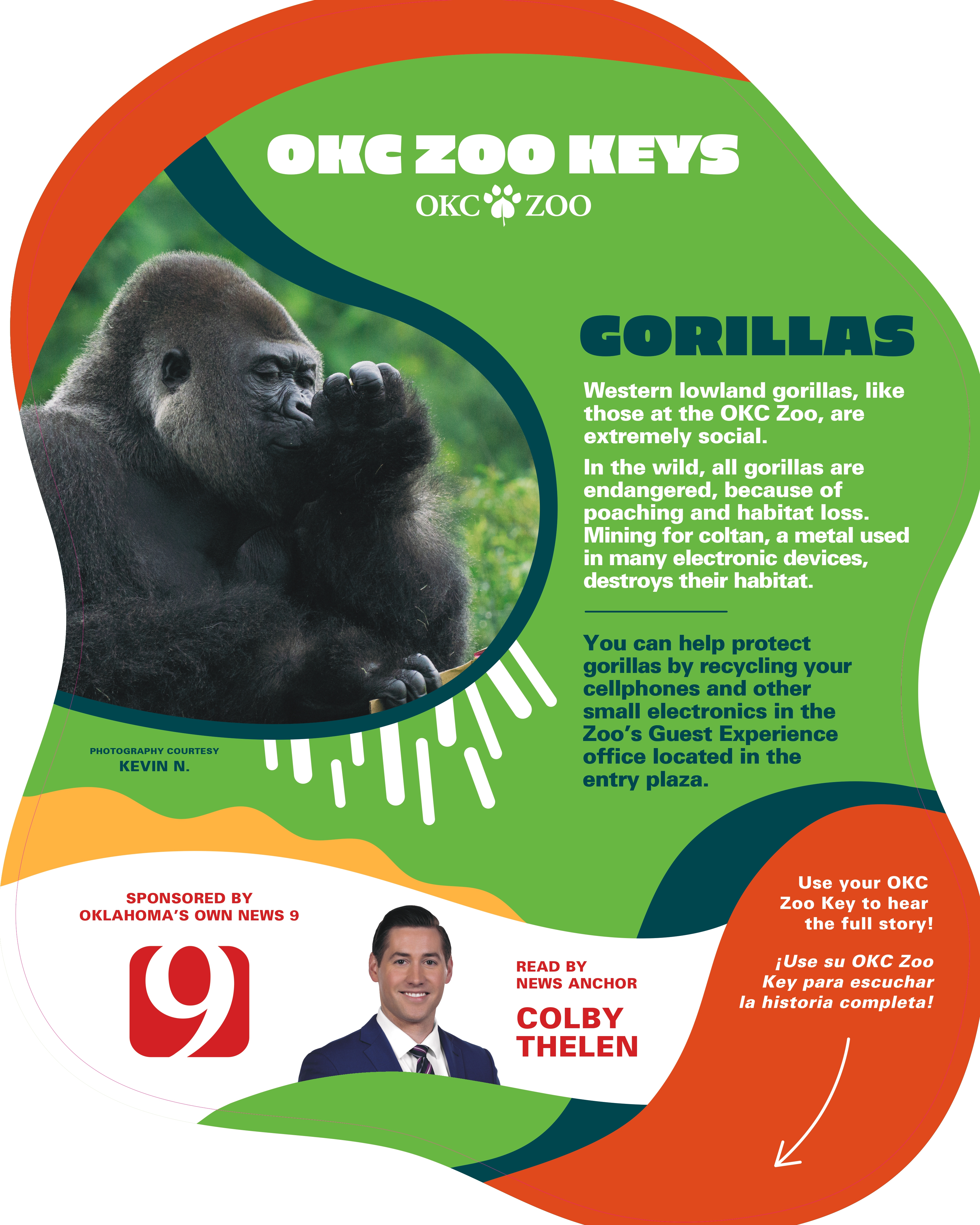 Zoo Key Gorilla