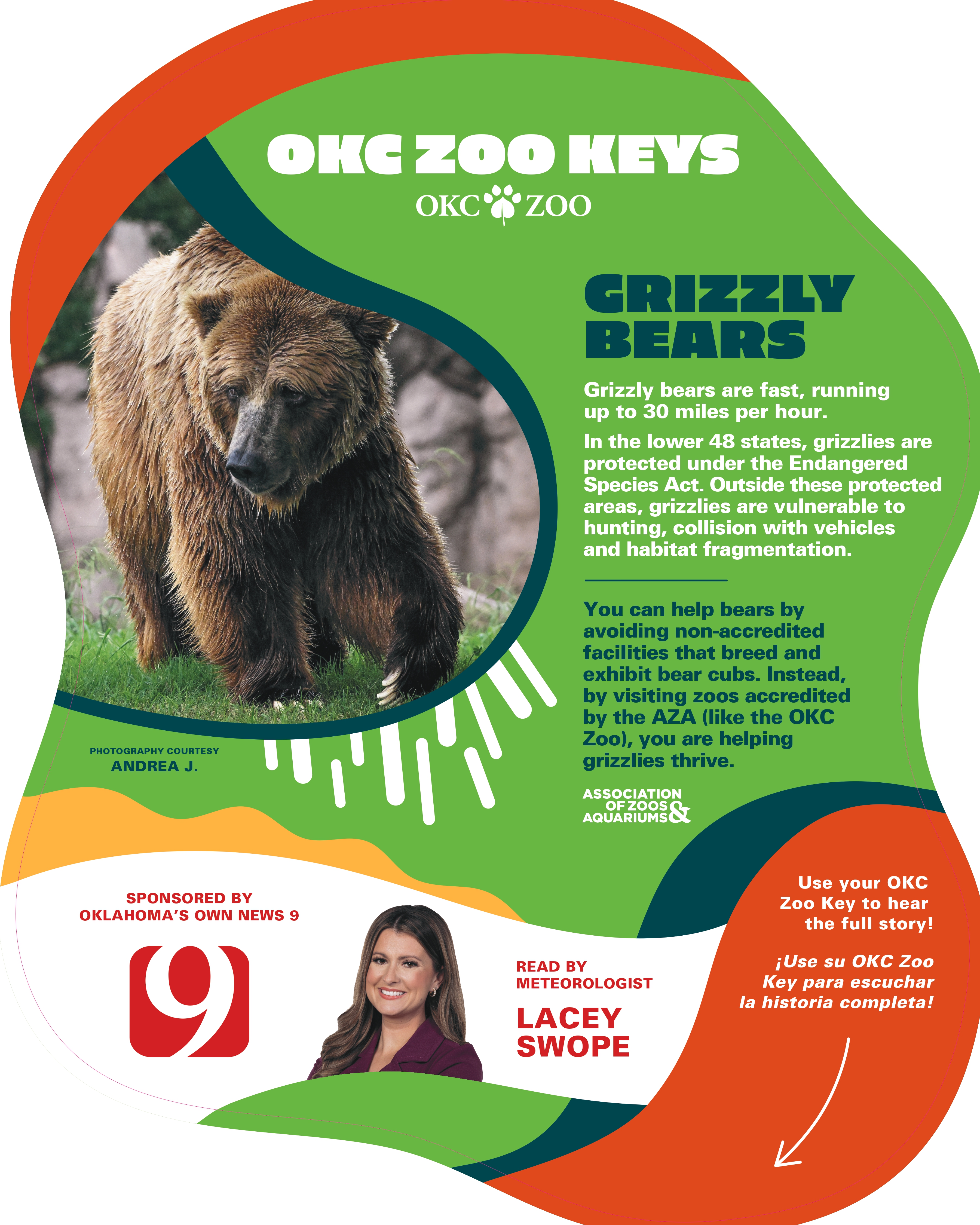 Zoo Key Grizzly Bear