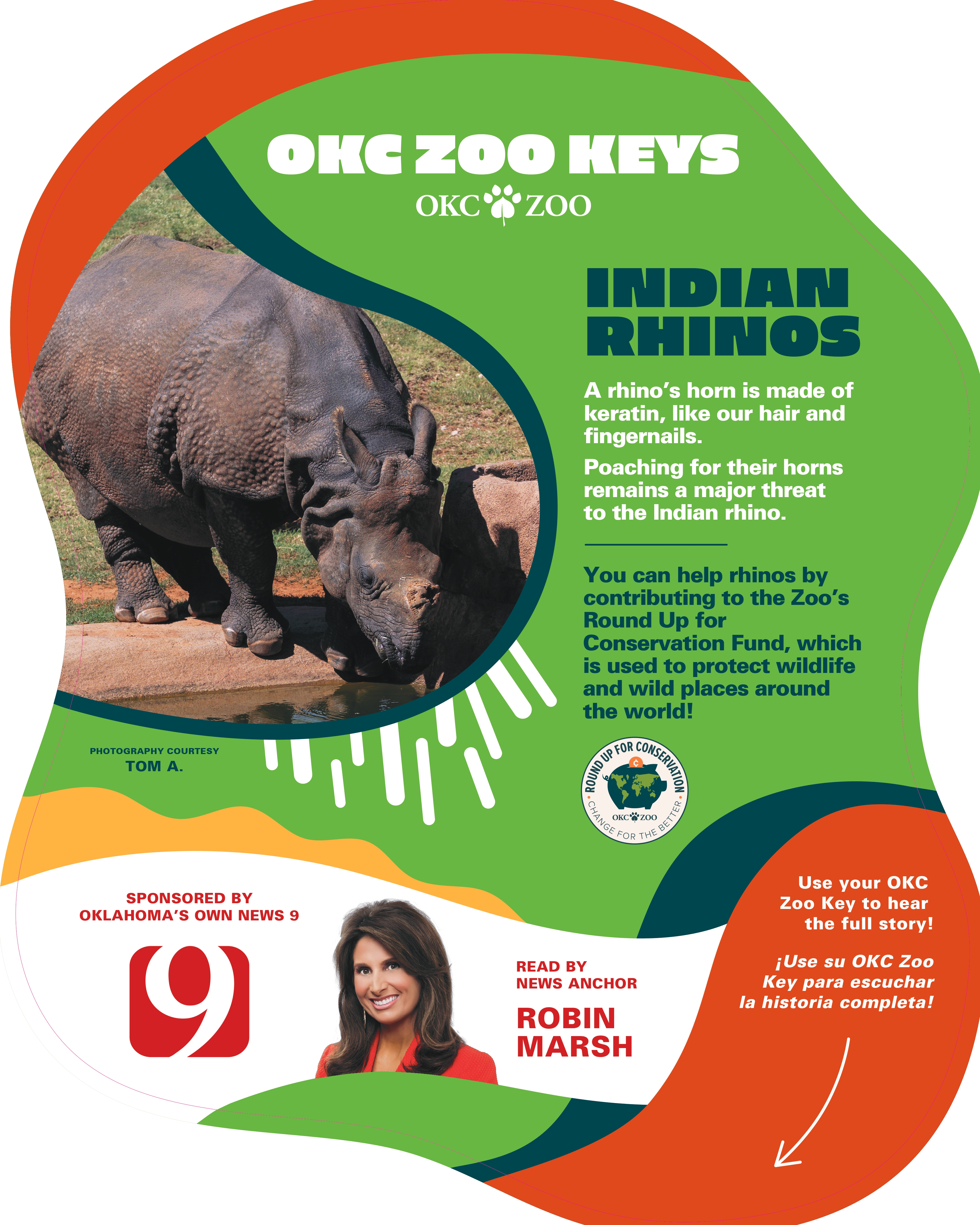 Zoo Key Indian Rhino