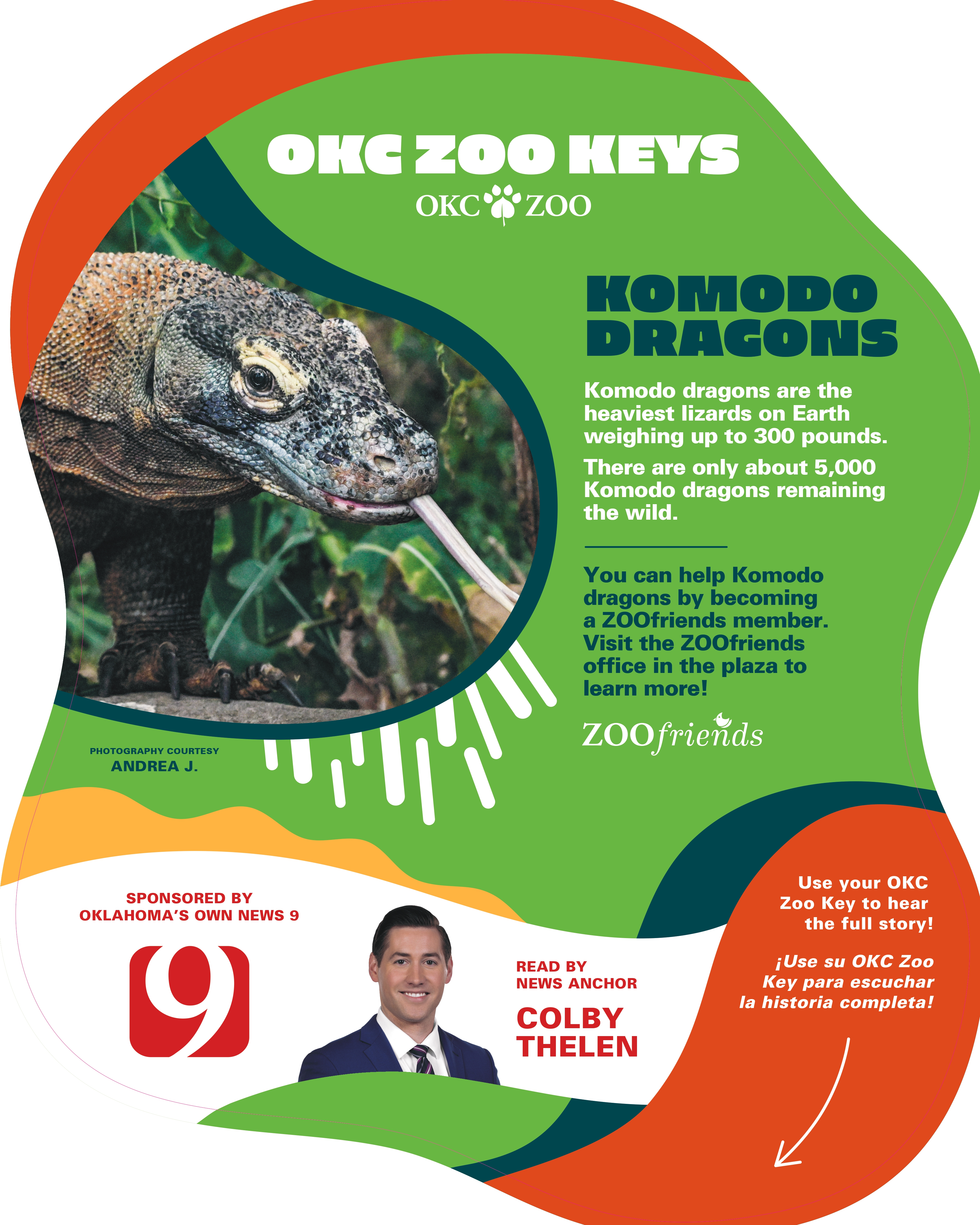 Zoo Key Komodo Dragon