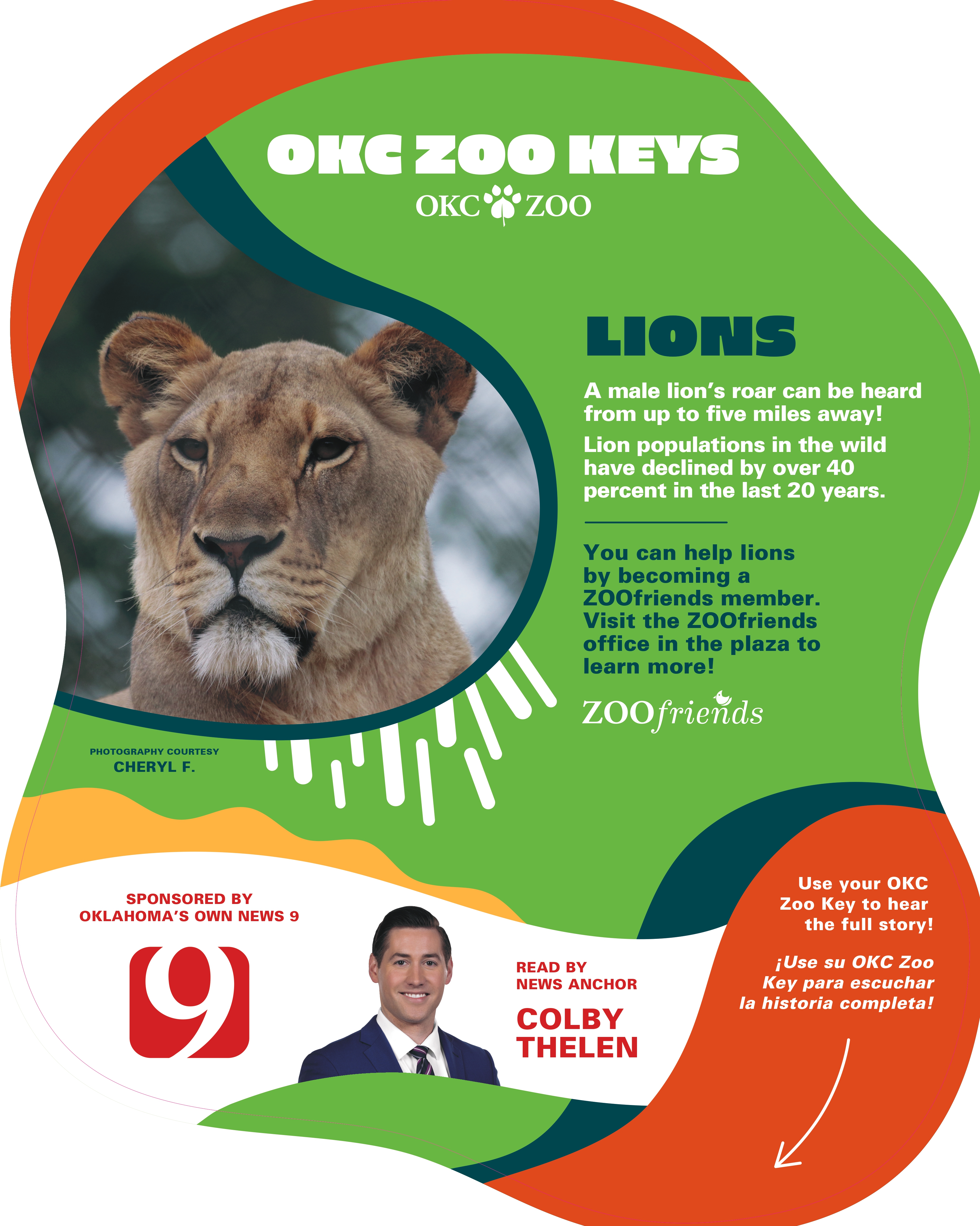 Zoo Key Lion
