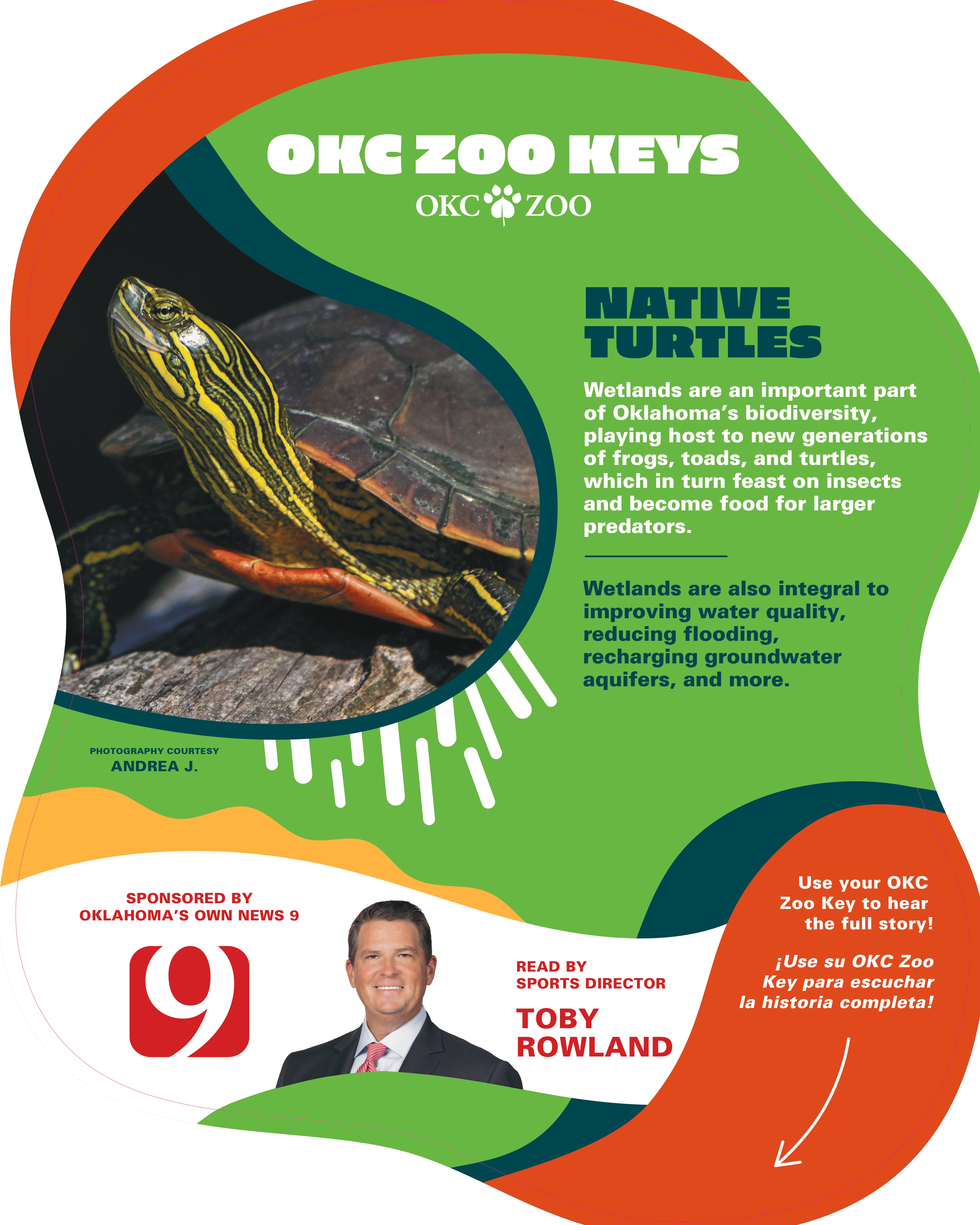 Zoo Key Native Turtle