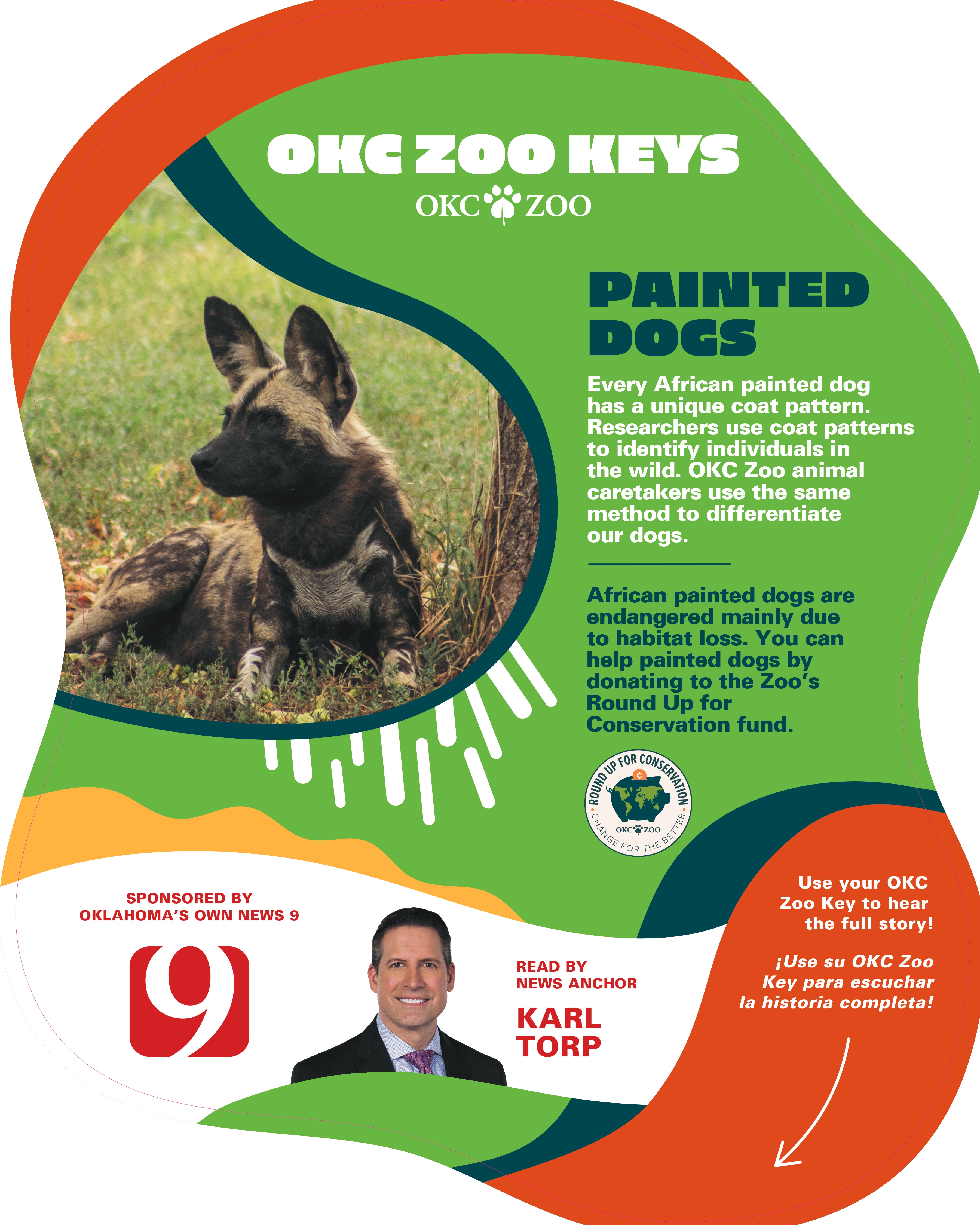 Zoo Key Painted Dog