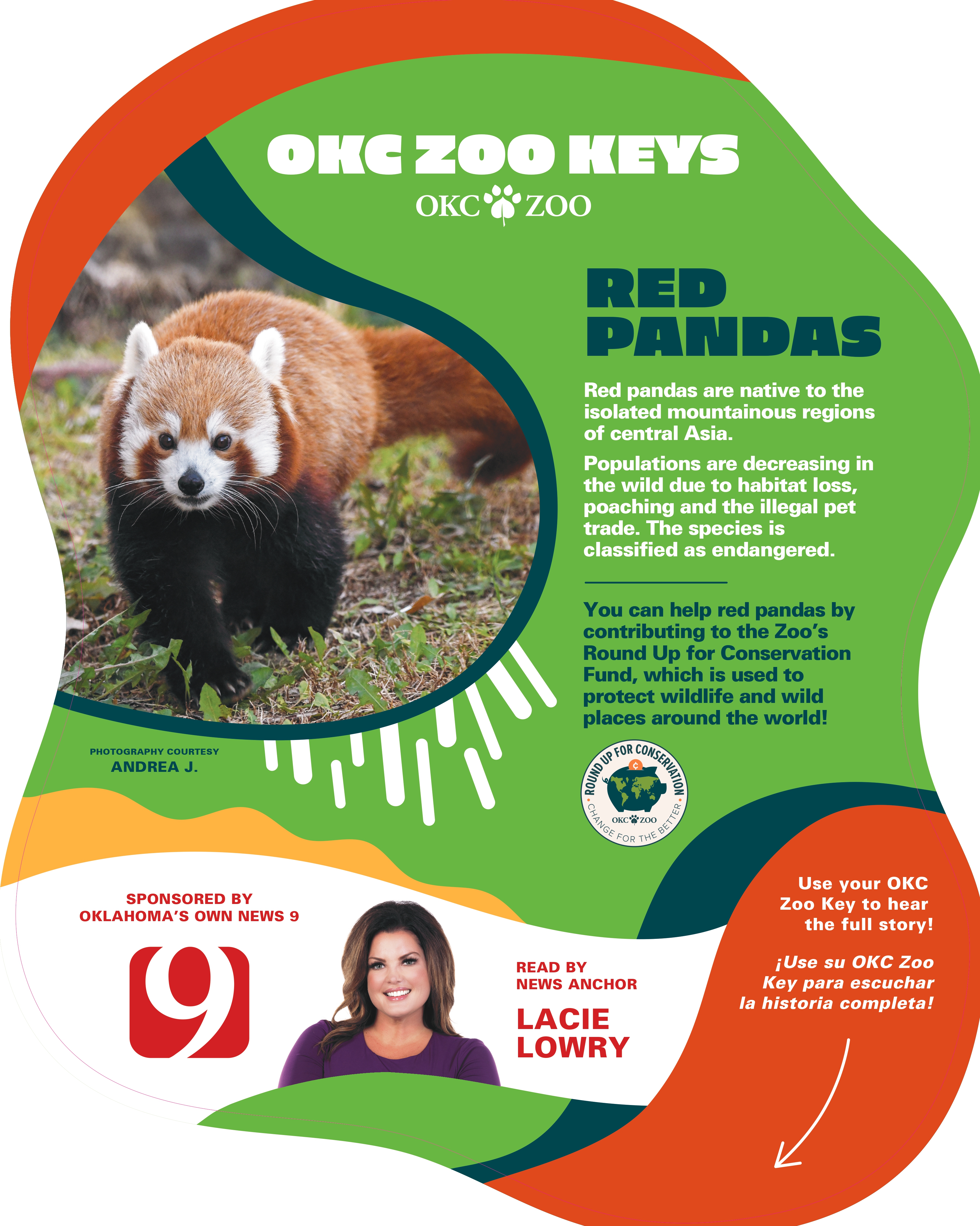 Zoo Key Red Panda