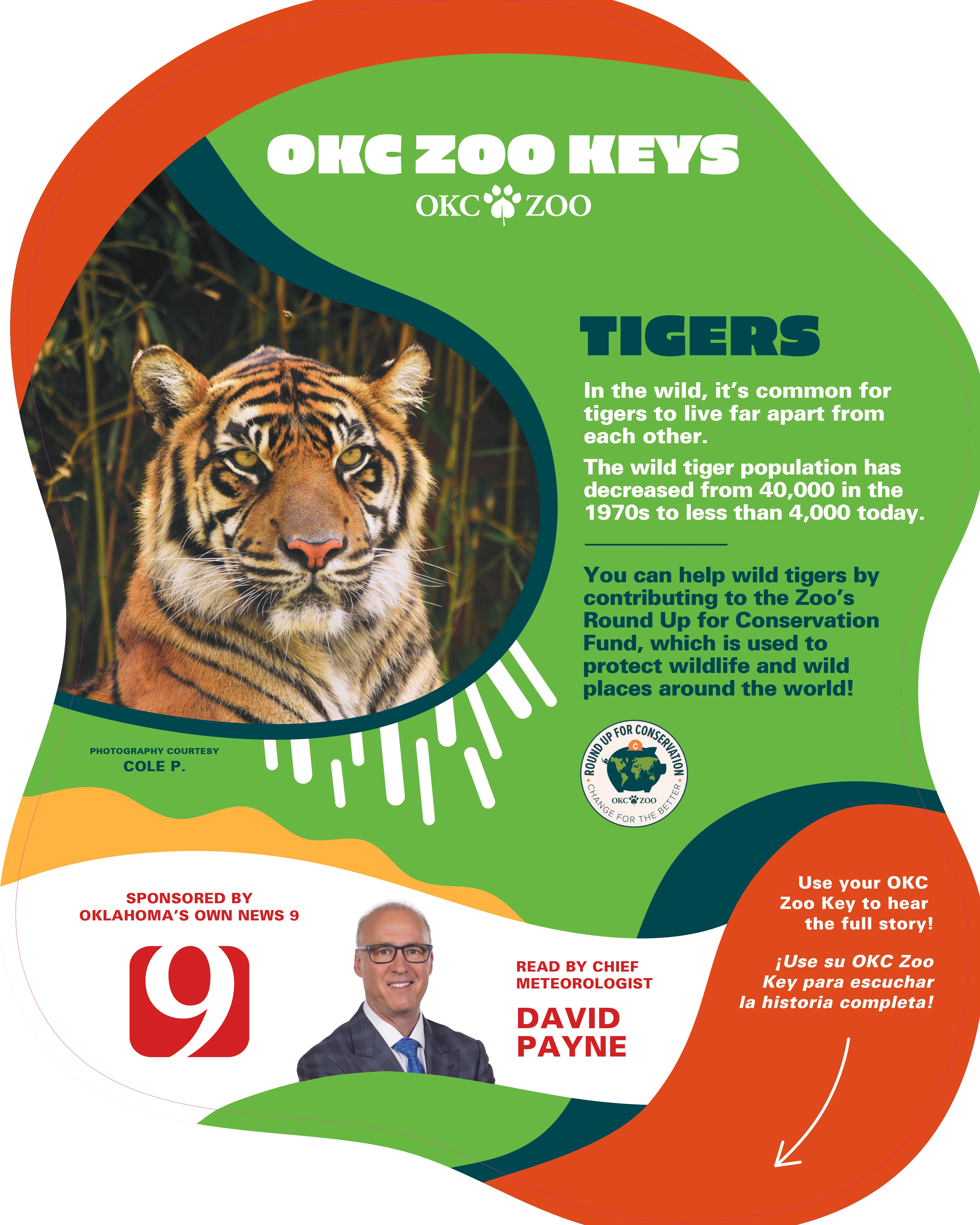 Zoo Key Tiger