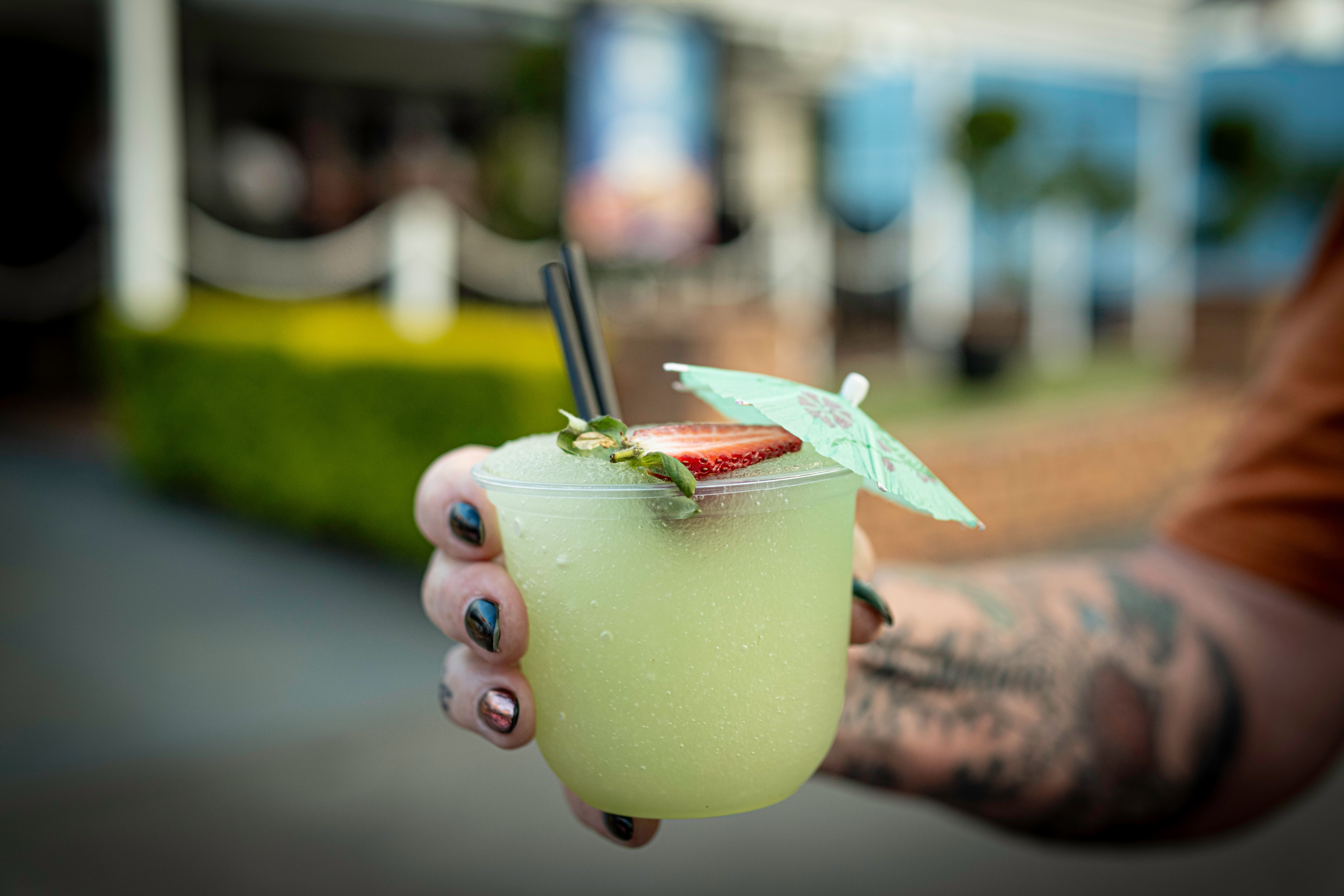 Frozen Lemonade