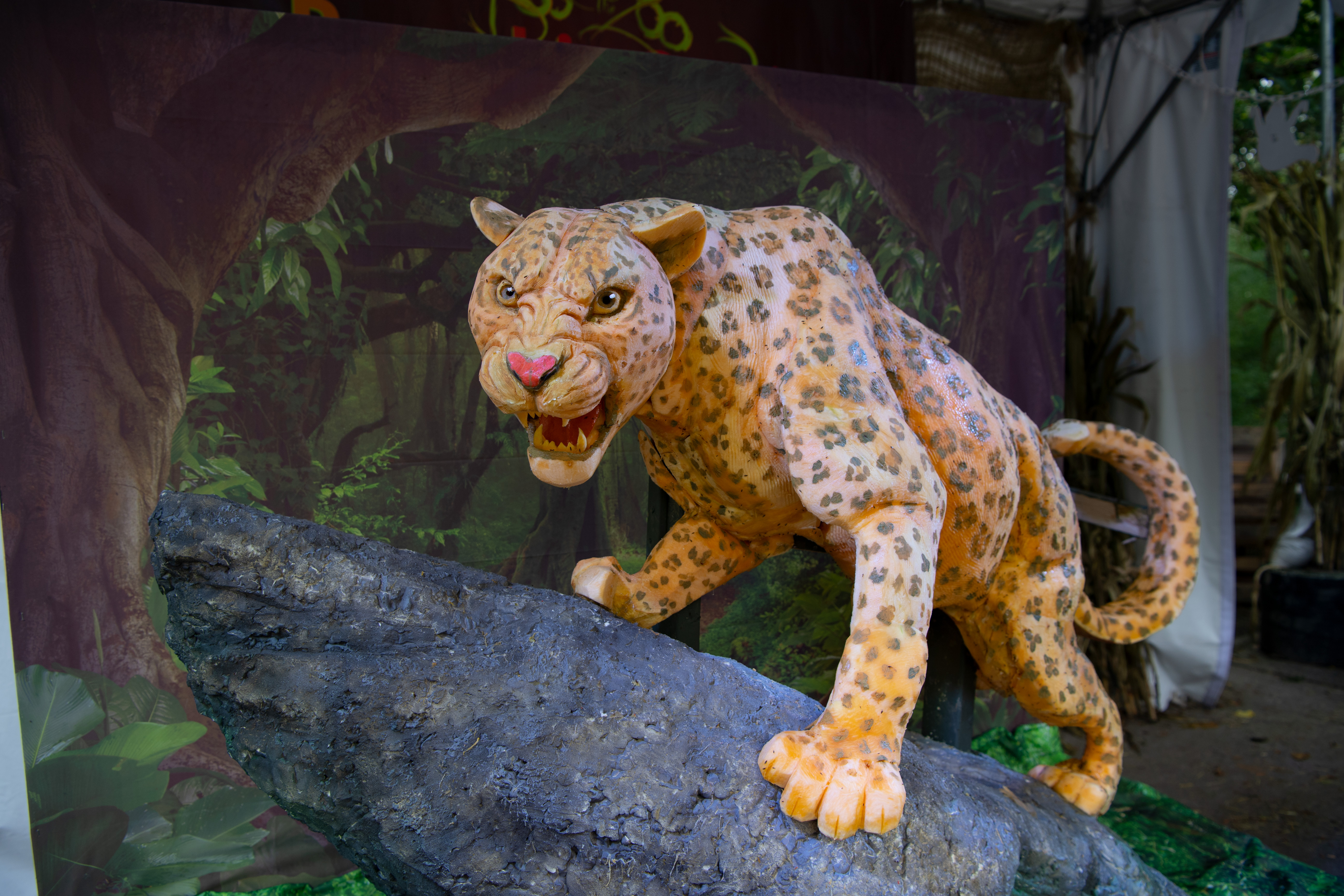 Attractions, Exhibits & Places